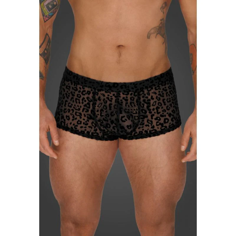 Thumbnail 36